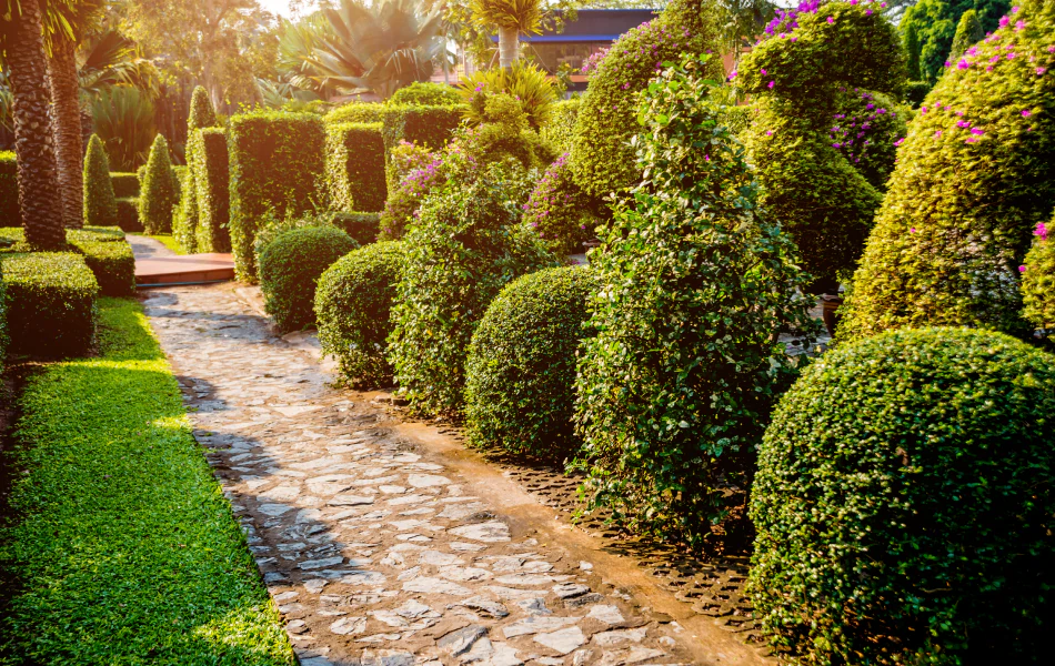 Commercial Landscaping Services (1) Commercial Landscaping Services (1)