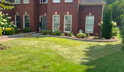Landscape Design & Installation Services