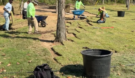 Sod Installation Services