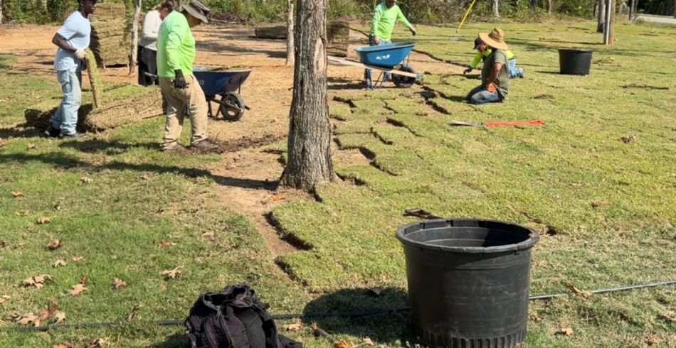 Sod Installation Services
